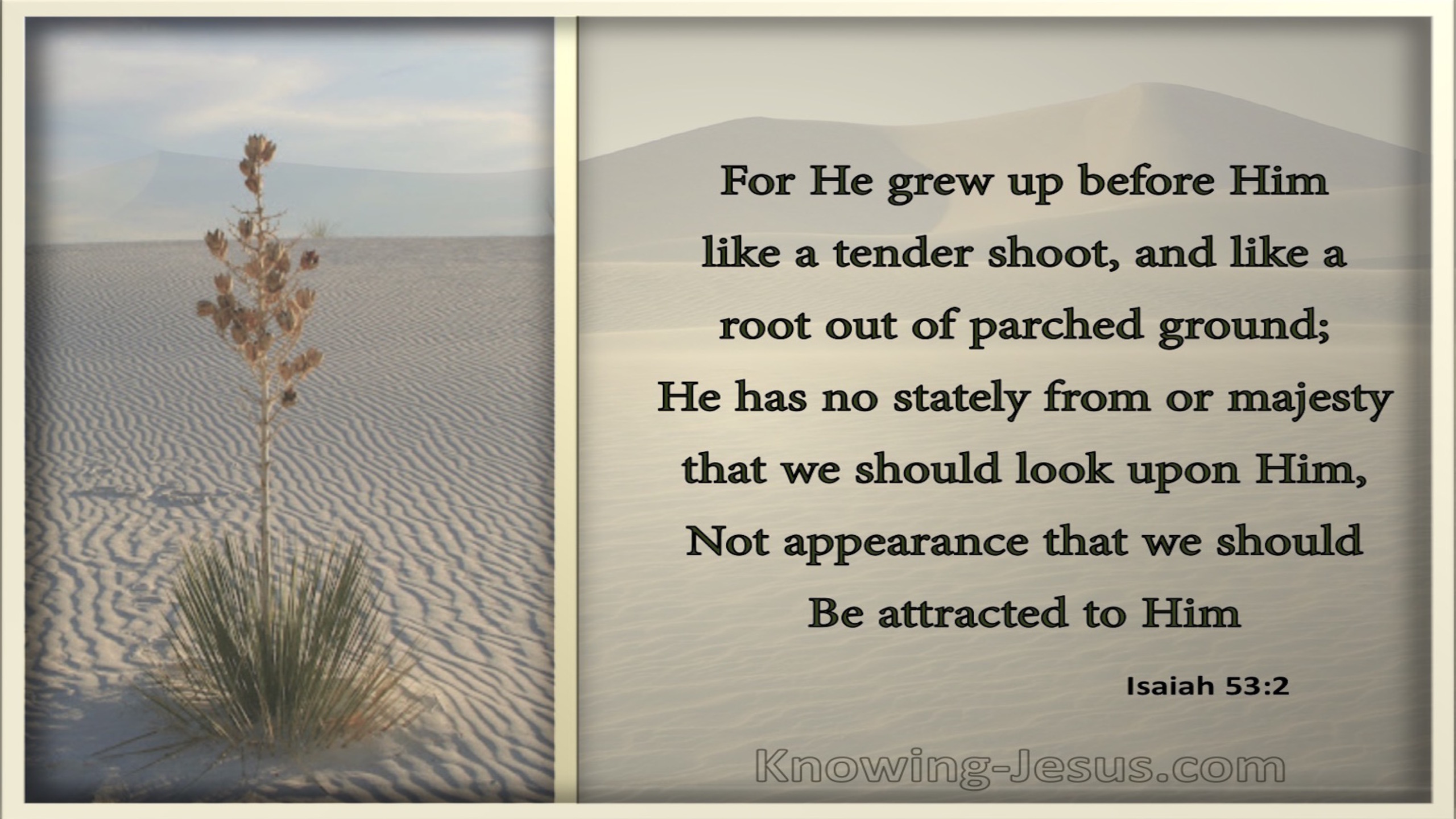 Isaiah 53:2 He Grew Up Like A Tender Shoot (gray)